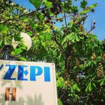 Ταβέρνα – ουζερί "Η ΚΑΡΛΑ"
