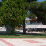 Τοπική Κοινότητα Ριζομύλου Τοπική Κοινότητα Ριζομύλου